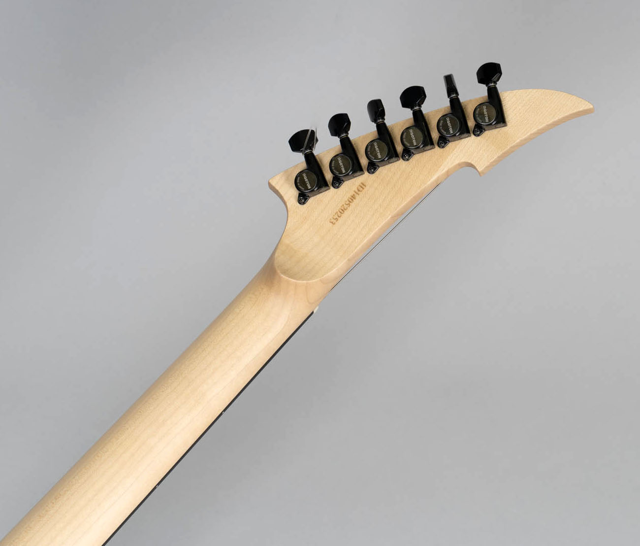 Blizzard Beast E-Gitarre